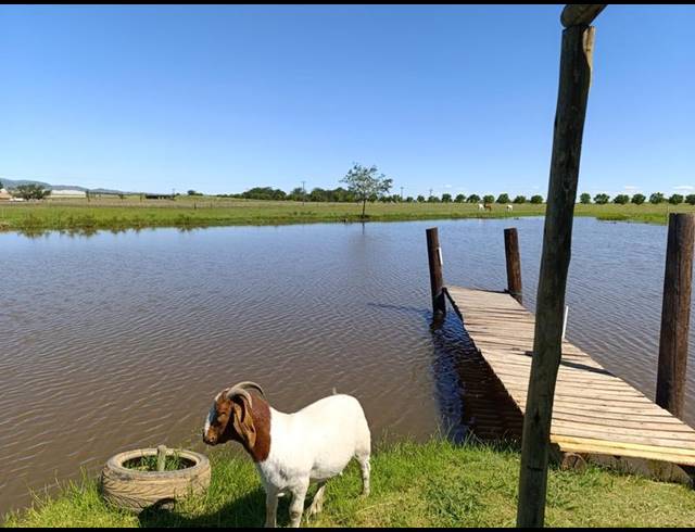 FARM FOR SALE IN KLIPRIVIER